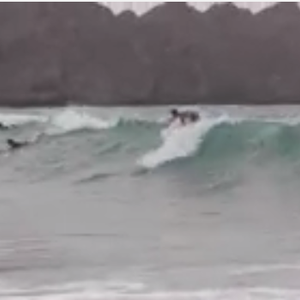 شباب عمانيون يتجاهلون التحذيرات ويذهبون إلى البحر 