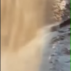 شباب متهورون يتجاهلون تحذيرات الدفاع المدني ويلعبون في مجرى السيل