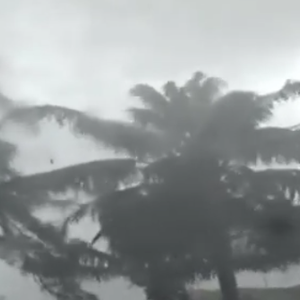 شاهد: لحظة وصول الإعصار ساريكا لمناطق جنوب الصين 