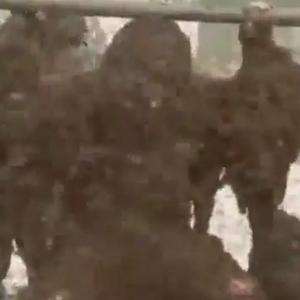 صيني يدخل "غينيس" بعدد النحل الملتصق بجسمه