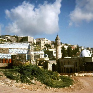 بالفيديو : شاب يجرفه السيل في الهند وهو على متن دراجته النارية