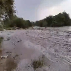 بالفيديو: أمطار غزيرة وسيول في عسير أمس 