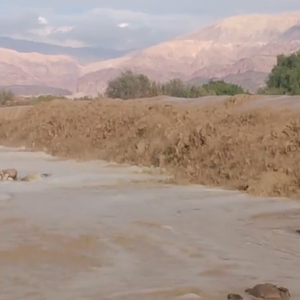 بالفيديو: سيول غور الصافي غرب الاردن يوم الثلاثاء 4-11-2014 