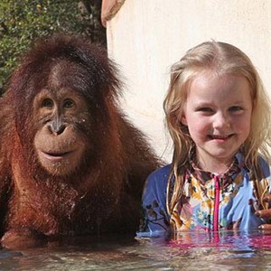 بالفيديو : صداقة بين فتاة صغيرة وغوريلا !