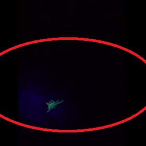 بالفيديو: لعشاق البر.. جهاز سيحميك من خطر العقارب