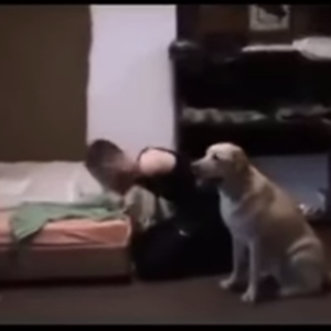 كلب يساعد شابا مبتور اليدين على ارتداء ملابسه