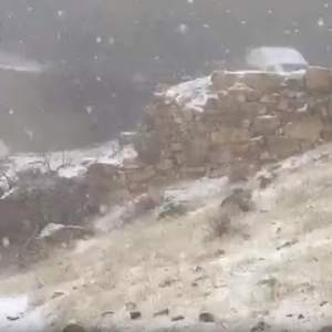 بالفيديو | مشاهد مميزة لثلوج الطيبة صباح  اليوم الخميس 