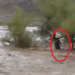 سيول وادي ملحة تجرف شاحنة محملة بالأغنام 