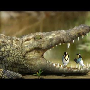 بالصور : تعرّف على الطائر المُلقب بعصفور التمساح !