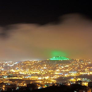 بالفيديو : قطّ يقوم بمحاولة إنعاش صديقته التي دهستها سيارة !  