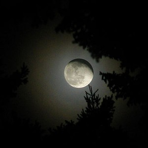 بالصور : قصر دراكولا حقيقة أم خيال ؟