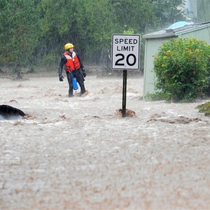 بالصور : معركة دامية دارت بين نمرين افريقيين !