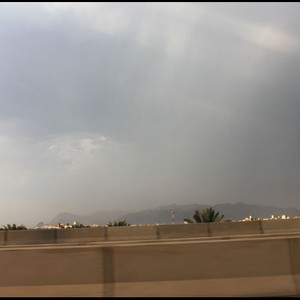 بالصور : تأخر حمار الوحش عن باقي القطيع فكان التمساح بانتظاره ! 