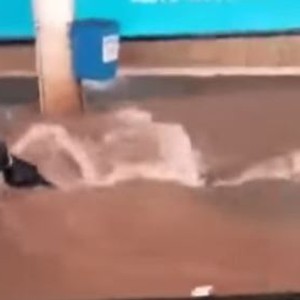 نجاة سائق من الغرق بمياه الفيضانات في البرازيل