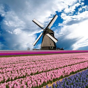 بالفيديو : أمطار غزيرة وعواصف وفيضانات تَضرب هولندا يوم أمس الاثنين 