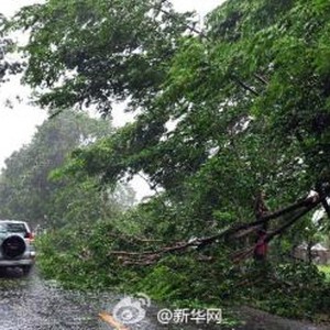 بالفيديو : إلإعصار الأقوى منذ 40 عاماً .. راماسون يبدأ باجتياح جزيرة هاينان الصينية