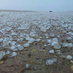 عاصفة بردية كثيفة تضرب تبوك عصر الثلاثاء .. استمع لصوتها الهادر