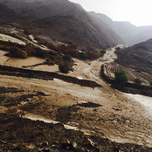 بالصور: موجة من الامطار الغزيرة تعم الأجزاء الغربية عصر الخميس