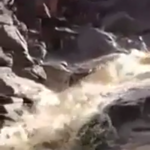 فيديو : أهل جنوب السعودية يرحبون بالسيول على طريقتهم الخاصة