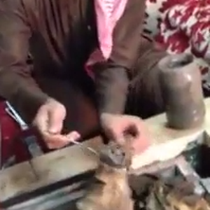 بالفيديو : اختراع سعودي بسيط لإشعال النار لفترة طويلة