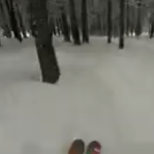 بالفيديو : مشهد مثير للتزلج على الثلوج بين الغابات بسُرعة فائقة جداً