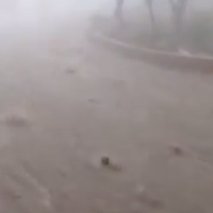 بالفيديو : سيول جارفة وسط شوارع الطائف 