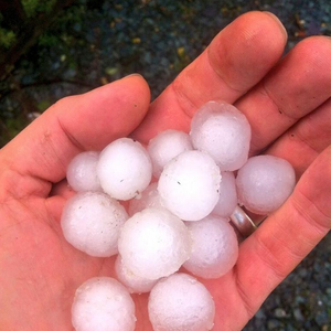 فيديو : بردية تاريخية ألبست حفر الباطن الثوب الأبيض في ثوانٍ