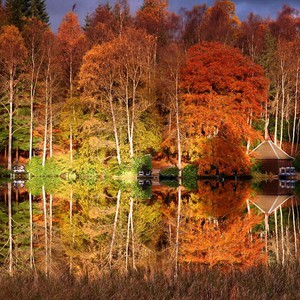 بالصور.. سحر الخريف يزين بريطانيا