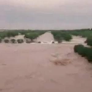 فيديو : شعيب فليج في حفر الباطن يسيل بشكل هادر لأول مرة منذ 25 سنة