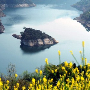 بالصور: أغرب وأندر أنواع التماسيح التي يمكن رؤيتها