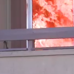 فيديو دراماتيكي : شاهد كيف قفزت القطة من مكان مرتفع لتنجو بحياتها من اندلاع النيران 