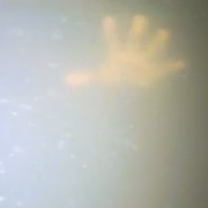 بالفيديو : شاهد لحظة إنقاذ رجل بقي 3 أيام تحت البحر بعد أن غرقت سفينته