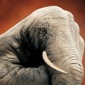 بالصور: أغرب أنواع الفنون .. الرسم على الأيادي