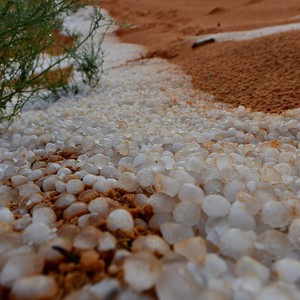 شاهد .. 24 صورة مميزة لبردية صحراء النفود 