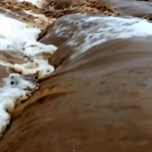 بالفيديو : أمطار وسيول في منطقة ثقيف بالطائف عصر الثلاثاء 