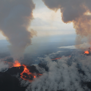 بالفيديو .. ذكاء أسدين في الإنقضاض على ظبي و إحكام السيطرة عليه 