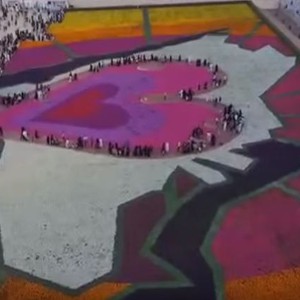 تصوير جوي لمهرجان الزهور في مدينة ينبع السعودية  