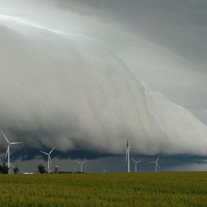 الروبيان السرعوف .. كما لم تشاهده من قبل