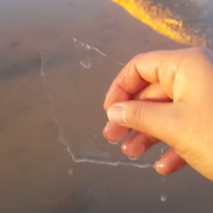 بالفيديو : الجوف تُسجل حرارة قريبة من الصفر المئوي .. شاهد ماذا حدث لبركة المياه