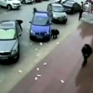 فيديو : الرياح تتسبب في تطايُر النقود .. وعشرات المارّة يهرعون لجمع الأموال