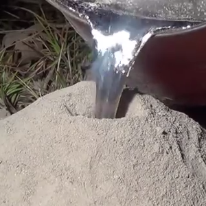 فيديو مثير للجدل: أمريكي يصُب مصهور الألمنيوم في مستعمرة للنمل.. شاهد ماذا وجد؟