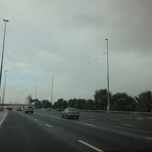 بالفيديو: مطاردة أفعى في أحد مساجد المملكة