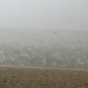 شاهد الصور: فقط إذا كنت تحب عالم الديناصورات