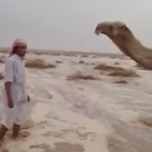 شاهد ماذا حدث للبجادية بعد عاصفة امطار الأربعاء الشهيرة