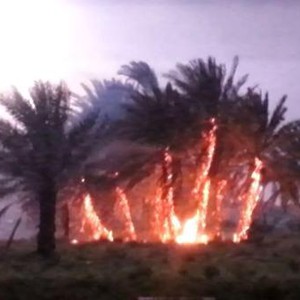 صاعقة رعدية تُشعل حريقاً في مزرعة بينبع النخل 