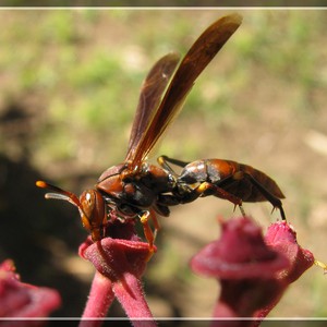 بالصور: دبور يودي بحياة 19 صينياً 