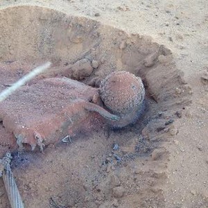 جسم غريب يخترق سماء حائل ويقطع التيار الكهربائي 