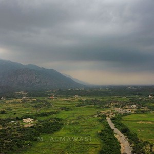 لقطات من محافظة العارضة في السعودية بعدما حوّلتها الأمطار إلى بساط أخضر