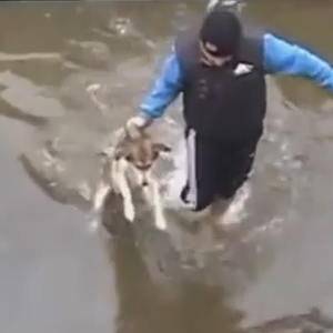 رجل يقوم بإنقاذ كلب يائس من الغرق في المياه الباردة .. شاهد ردة فعل الكلب