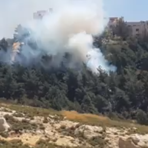 بالصور: اندلاع سلسلة حرائق في غابات ناعور 